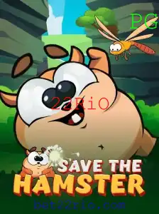 Descubra o Mundo Divertido de SavetheHamster
